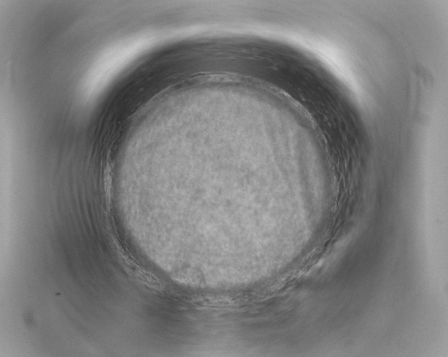 X0000115060194200912071158