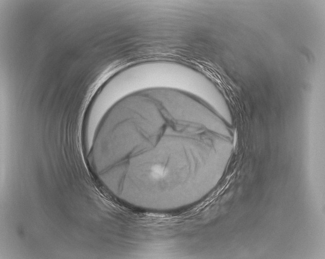 X0000115060195200912071158