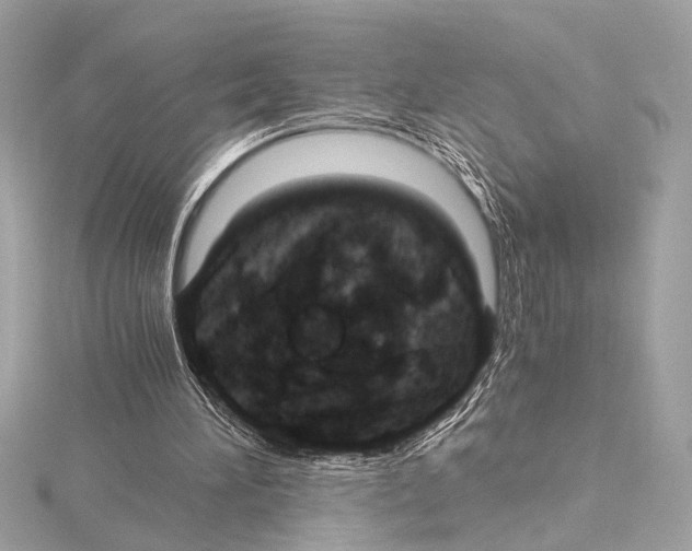 X0000115060196200912071158