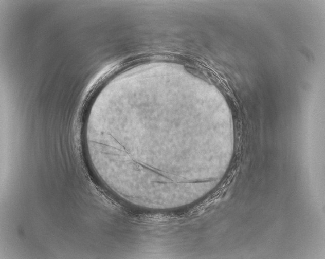 X0000115060197200912071158