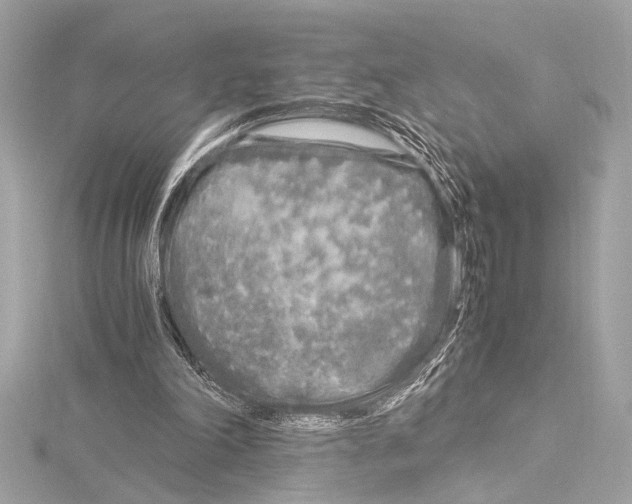 X0000115060198200912071158