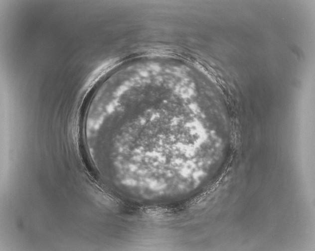 X0000115060199200912071158