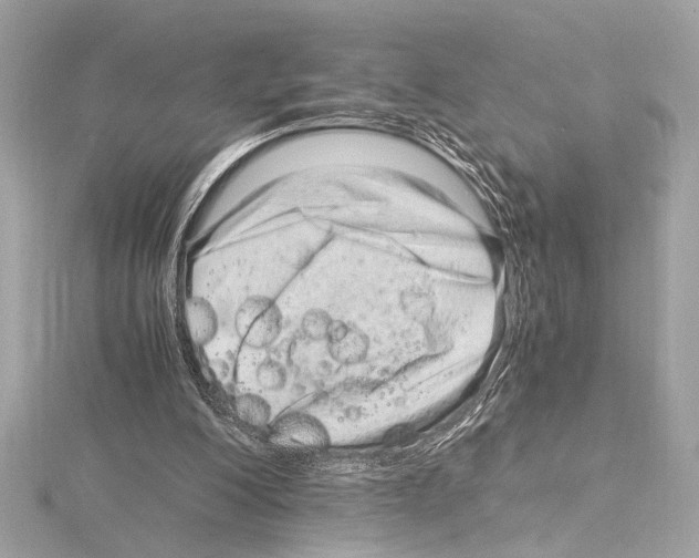 X0000115060200200912071158