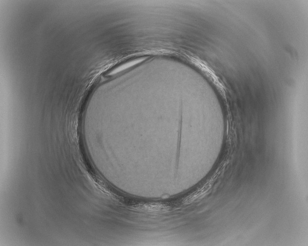 X0000115060201200912071158