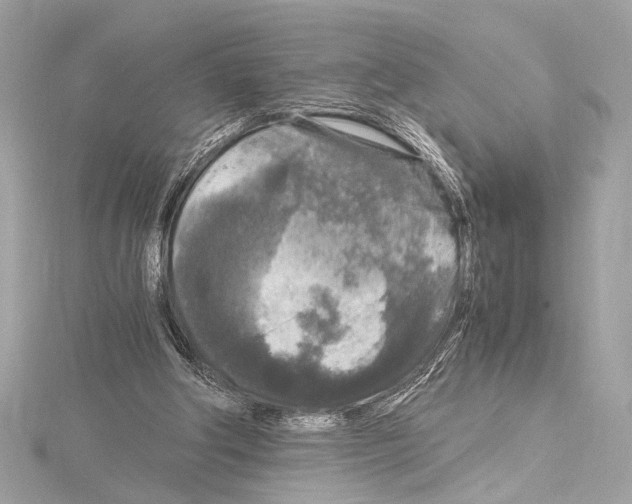 X0000115060202200912071158