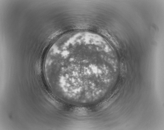 X0000115060203200912071158