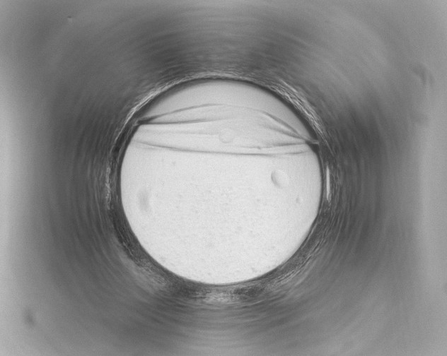 X0000115060204200912071158