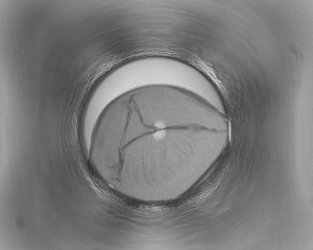 X0000115060205200912071158