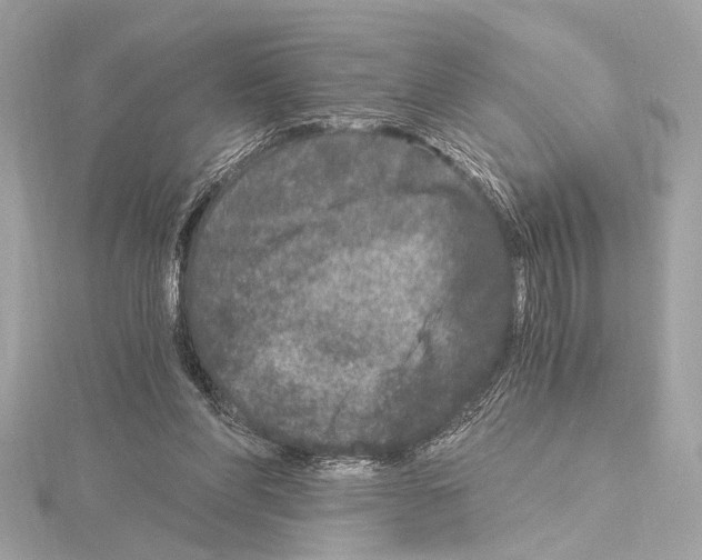 X0000115060206200912071158