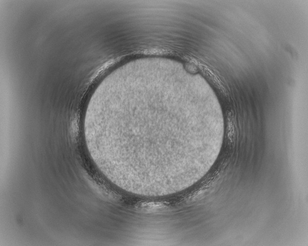 X0000115060208200912071158