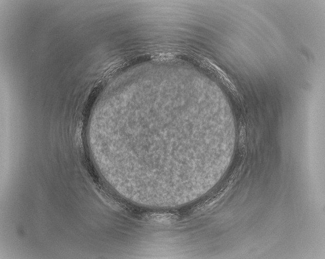 X0000115060209200912071158