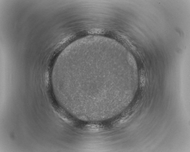 X0000115060211200912071158