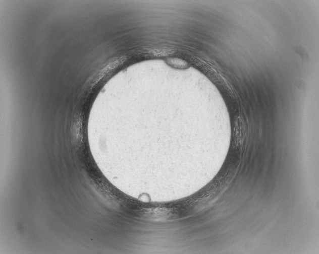 X0000115060212200912071158