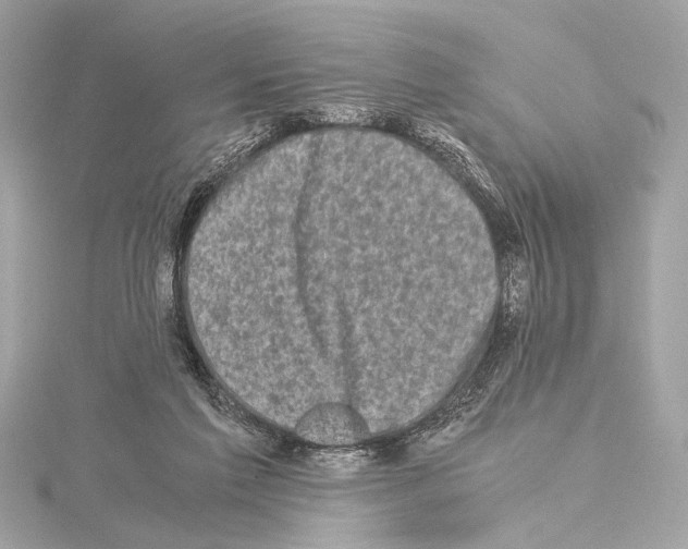 X0000115060213200912071158