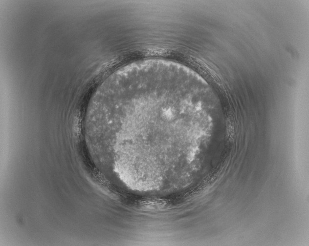 X0000115060215200912071158