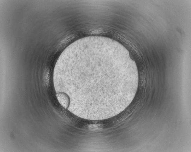 X0000115060216200912071158