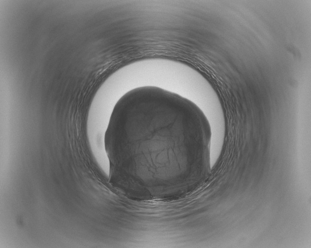 X0000115060219200912071158