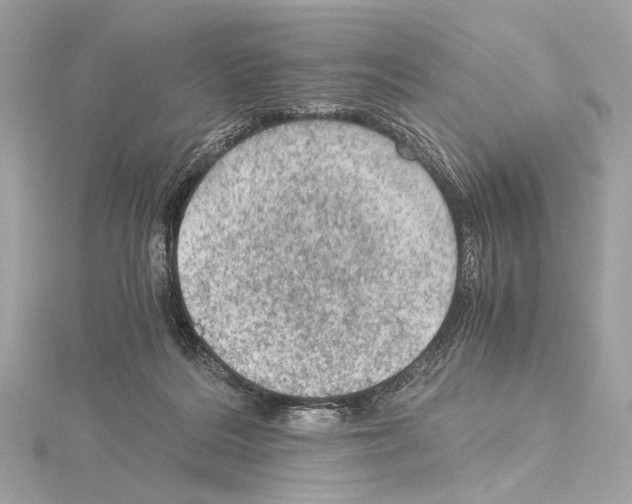 X0000115060220200912071158