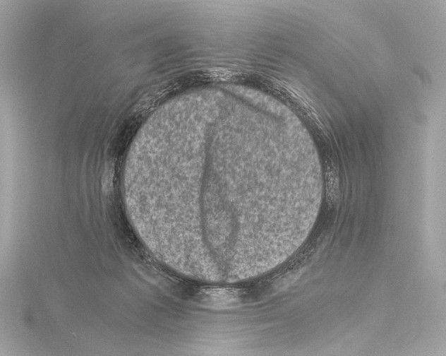 X0000115060221200912071158