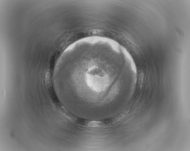 X0000115060222200912071158