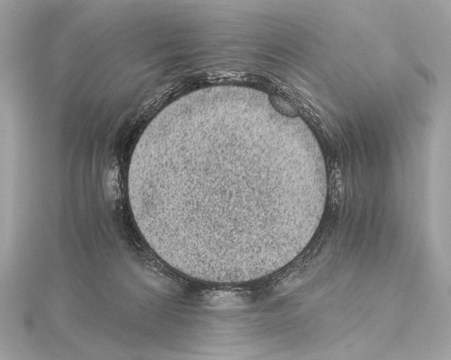 X0000115060224200912071158