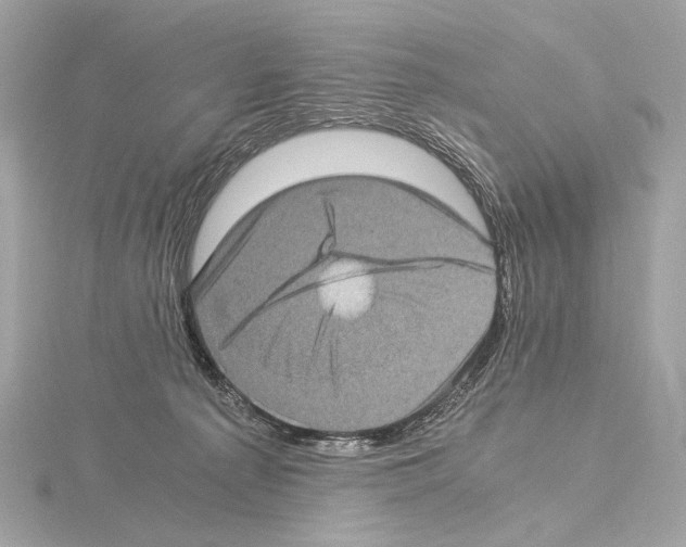 X0000115060225200912071158