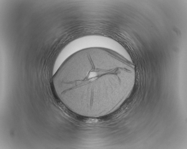 X0000115060227200912071158