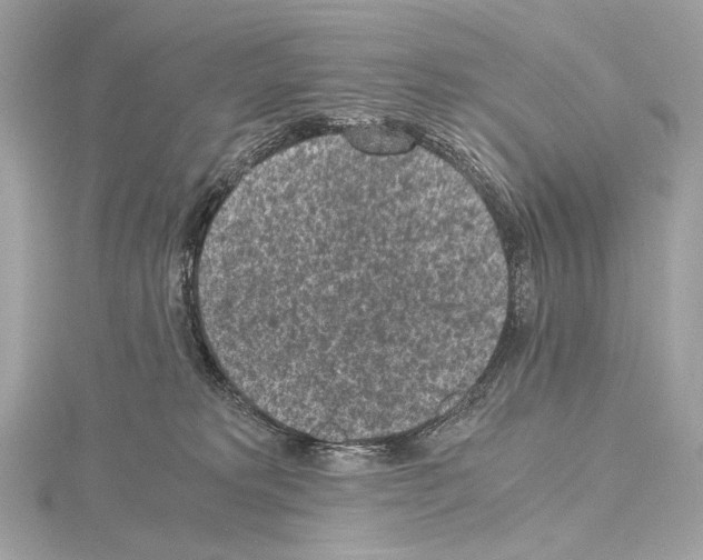 X0000115060229200912071158