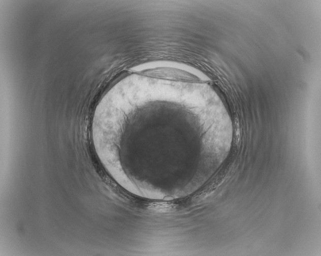 X0000115060231200912071157