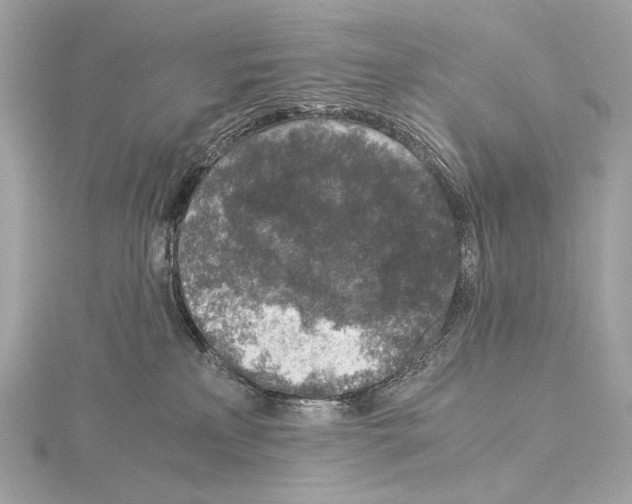 X0000115060233200912071157