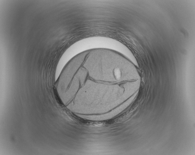 X0000115060235200912071157