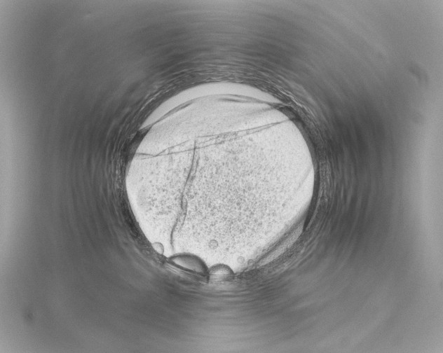 X0000115060236200912071157