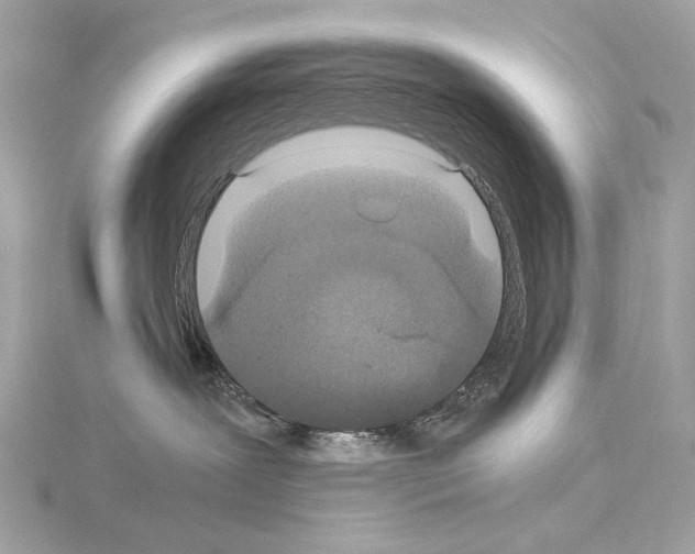 X0000115060239200912071157