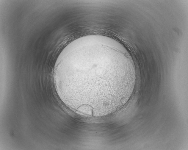 X0000115060240200912071157