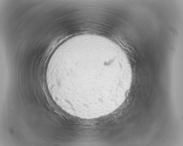 X0000115060241200912071157