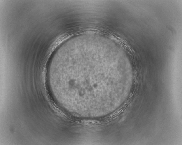 X0000115060242200912071157