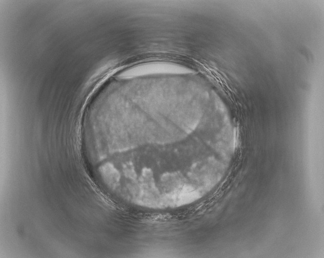 X0000115060243200912071157