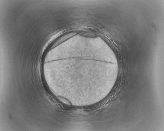 X0000115060244200912071157