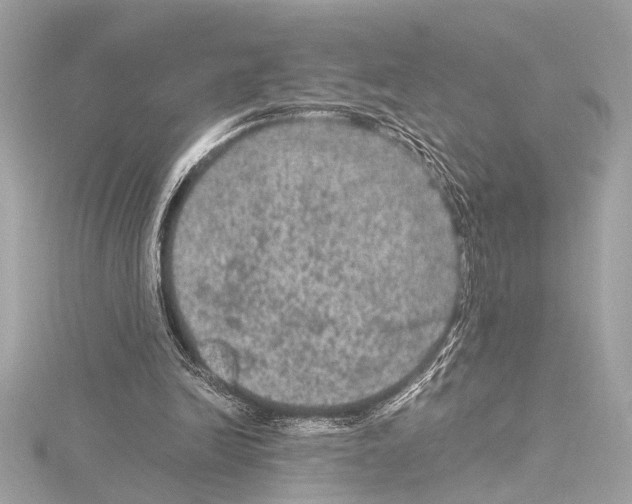 X0000115060246200912071157