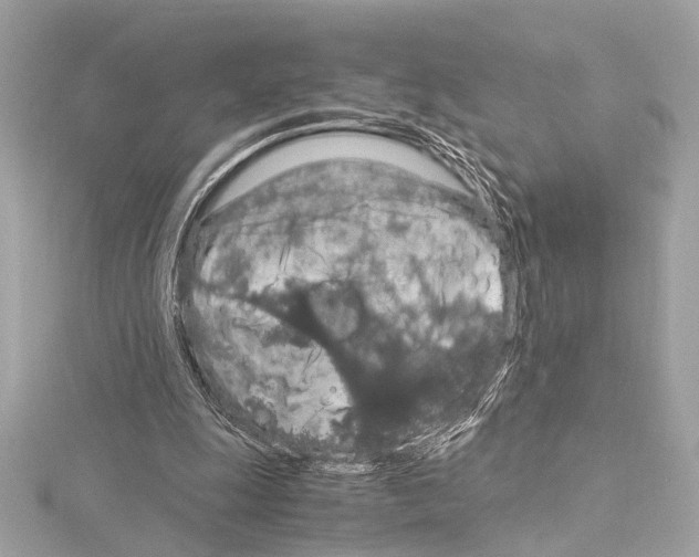 X0000115060247200912071157