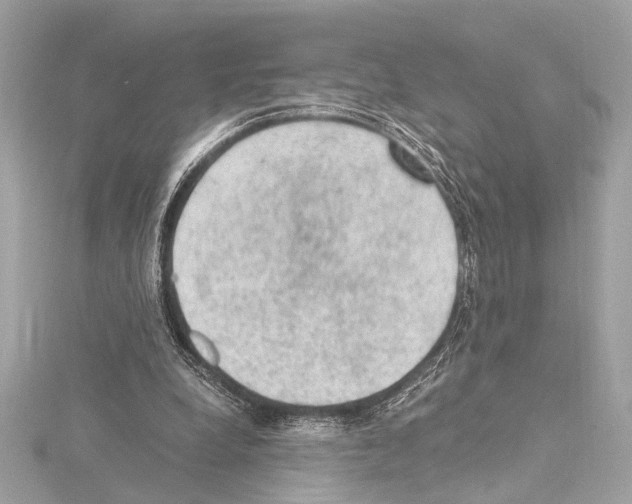 X0000115060248200912071157