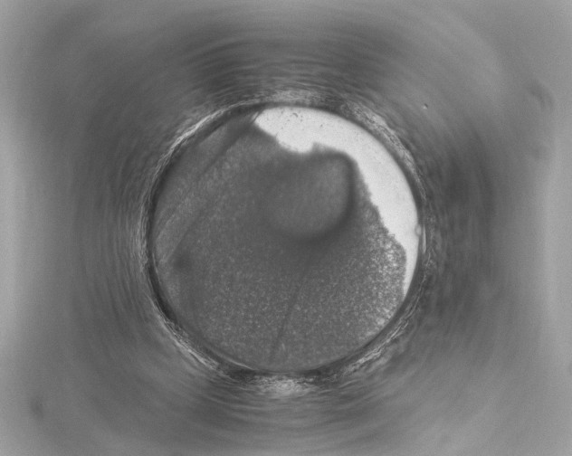 X0000115060249200912071157