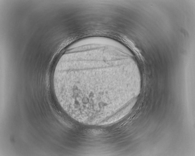 X0000115060250200912071157