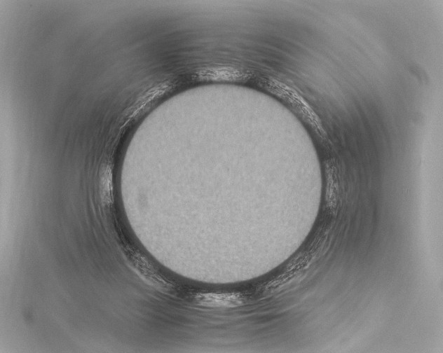 X0000115060251200912071157