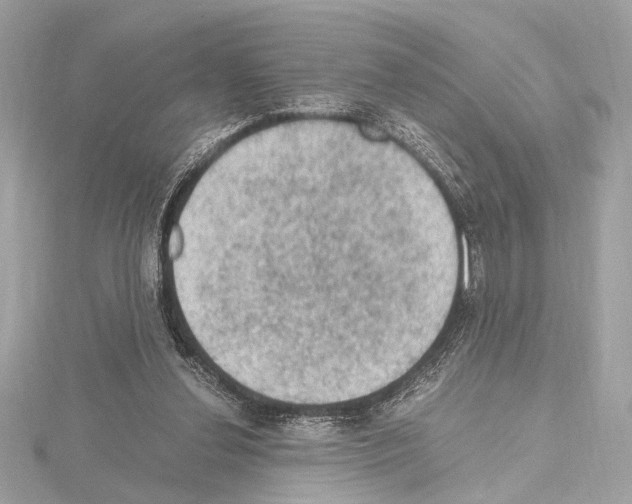 X0000115060252200912071157