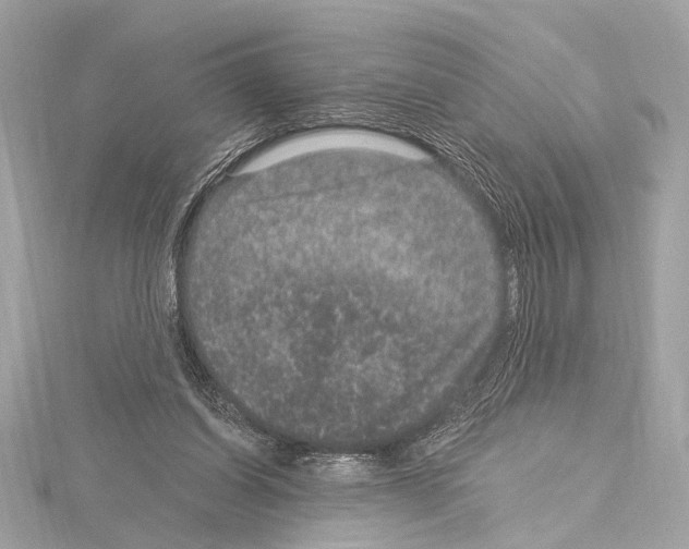 X0000115060254200912071157