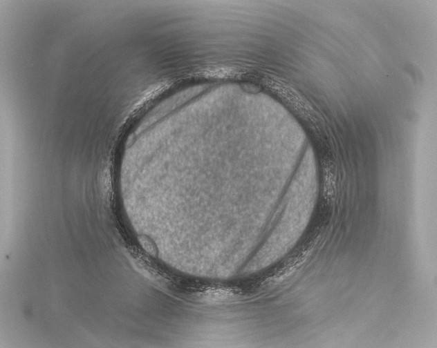 X0000115060256200912071157