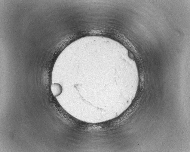 X0000115060257200912071157