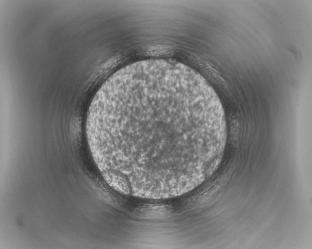 X0000115060260200912071157