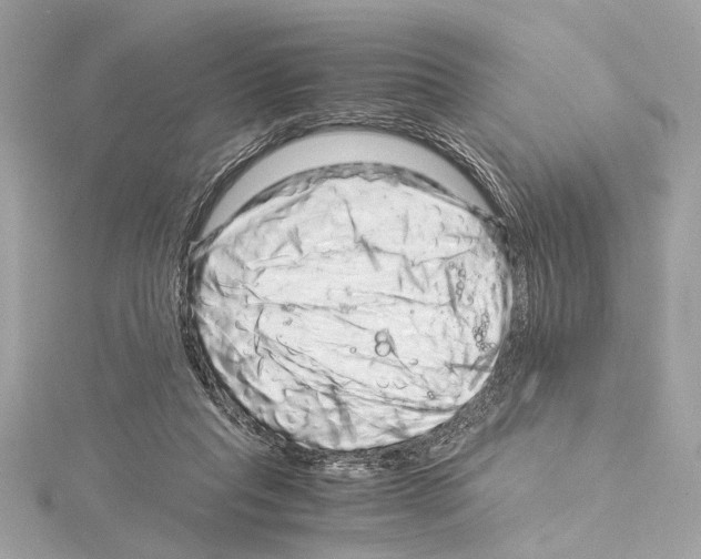 X0000115060261200912071157